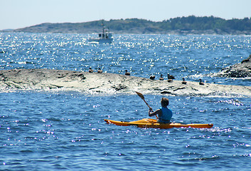 Image showing Kayak paddle'r