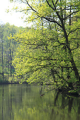 Image showing park with lake