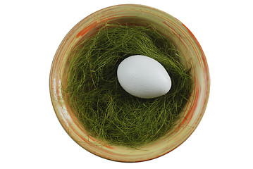 Image showing egg in a plate with green grass over white