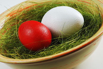 Image showing two eggs  in a plate with green grass 