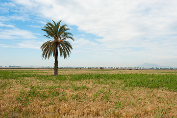 Image showing Prairie landscape