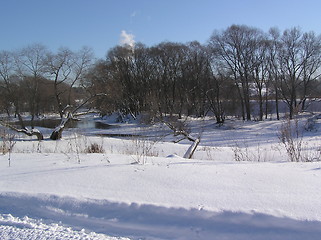 Image showing Snowy landscape