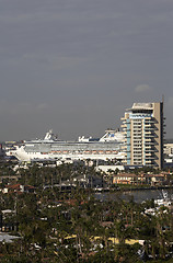 Image showing The coral princess