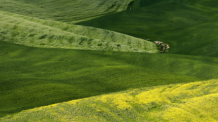 Image showing Tuscany