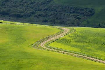 Image showing Tuscany