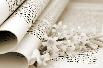 Image showing Book And Flower