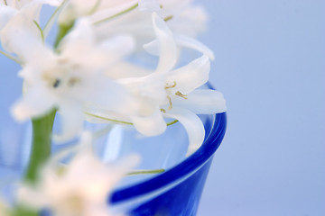 Image showing Flowers In Glass