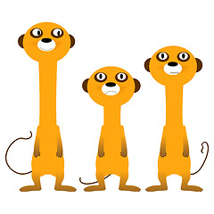 Image showing Curious meerkats