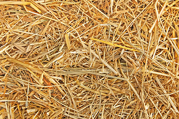 Image showing The texture of straw 