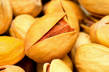 Image showing Pistachio