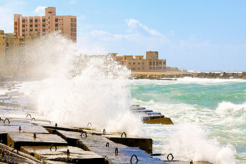 Image showing Alexandria coast