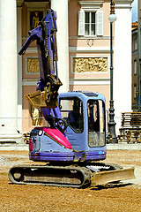 Image showing Purple digger