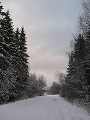 Image showing Winter road through the forest