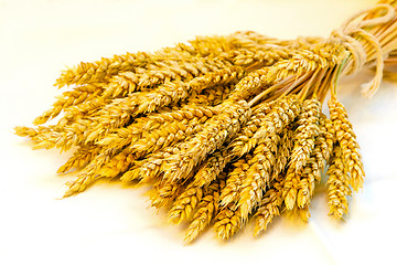 Image showing Wheat sheaf