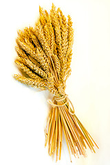 Image showing Wheat bundle