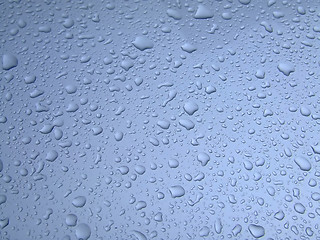 Image showing Small rain drops