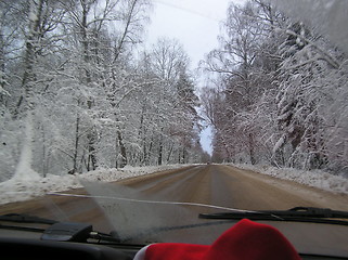 Image showing Road with snowy trees (inside-car view)