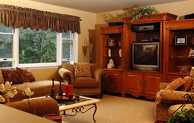 Image showing living room