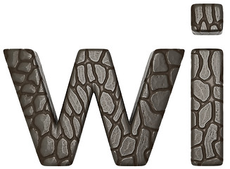 Image showing Alligator skin font w and i lowercase letters 