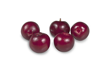 Image showing Berry cranberries