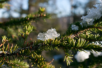 Image showing Christmas Toy Ice