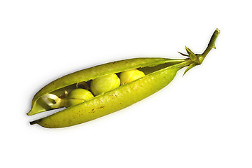 Image showing pea pod