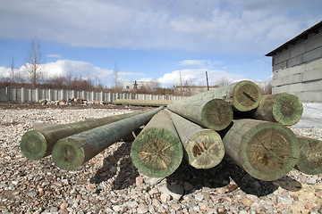 Image showing Timber