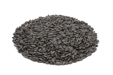 Image showing sunflower seeds isolated