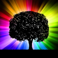 Image showing Tree with multicolor burst background. EPS 8