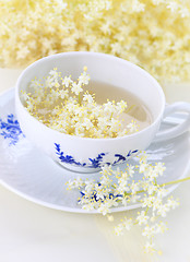 Image showing Elder flower tea