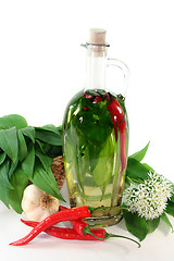 Image showing Wild garlic oil