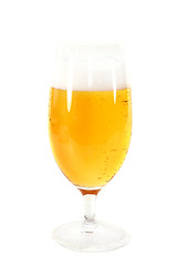 Image showing Beer