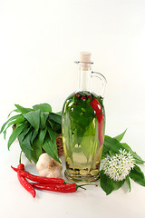 Image showing Wild garlic oil