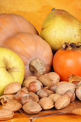 Image showing Autumn fruits