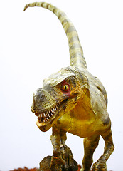 Image showing Ornitholestes dinosaur on white