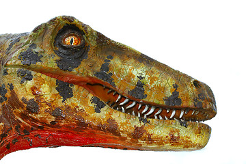 Image showing Deinonychus dinosaur head on white