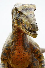 Image showing Deinonychus dinosaur 