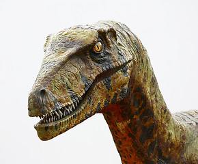 Image showing Deinonychus dinosaur head on white