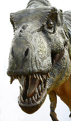 Image showing Dinosaur Tyrannosaurus rex on white