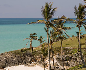 Image showing Coast of Bermuda