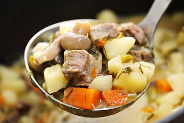 Image showing Beef stew in serving spoon