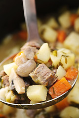 Image showing Beef stew in serving spoon
