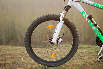 Image showing Bicycle wheel