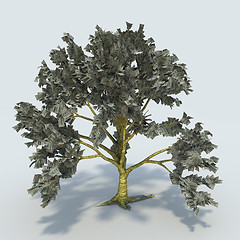 Image showing tree money 