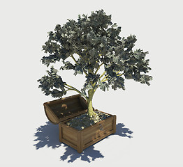 Image showing money tree 