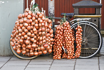 Image showing Onion Bicycle