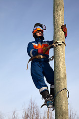 Image showing Electrician on a pole