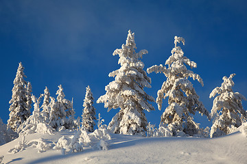 Image showing Winter landscape in mountains