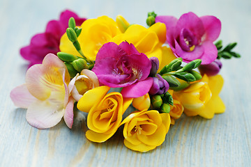 Image showing freesia flowers