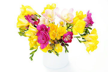 Image showing freesia flowers